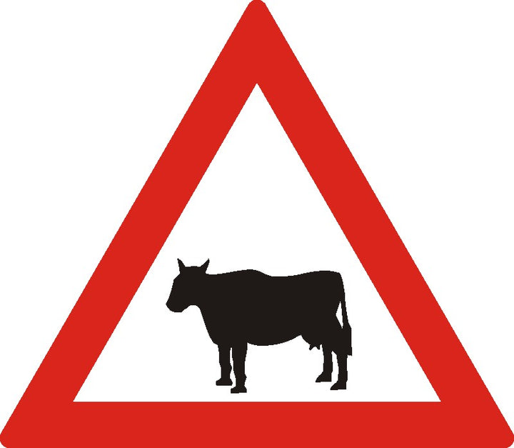 Indicator rutier Animale