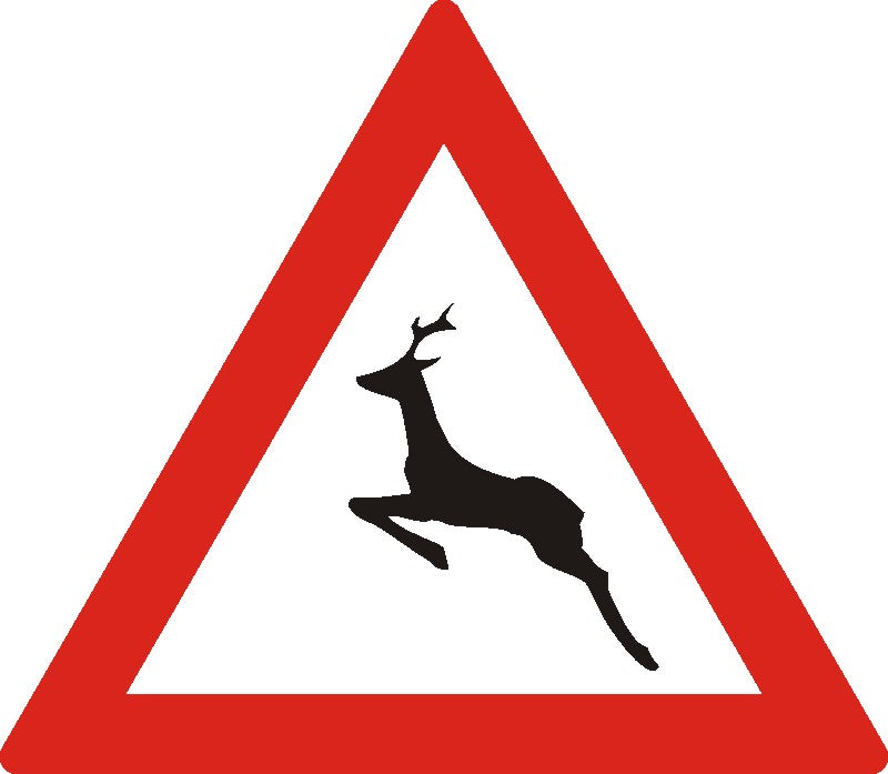 Indicator rutier Animale Imagine principală a produsului
