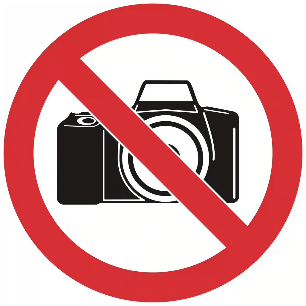 indicator-rutier-fotografiatul-interzis