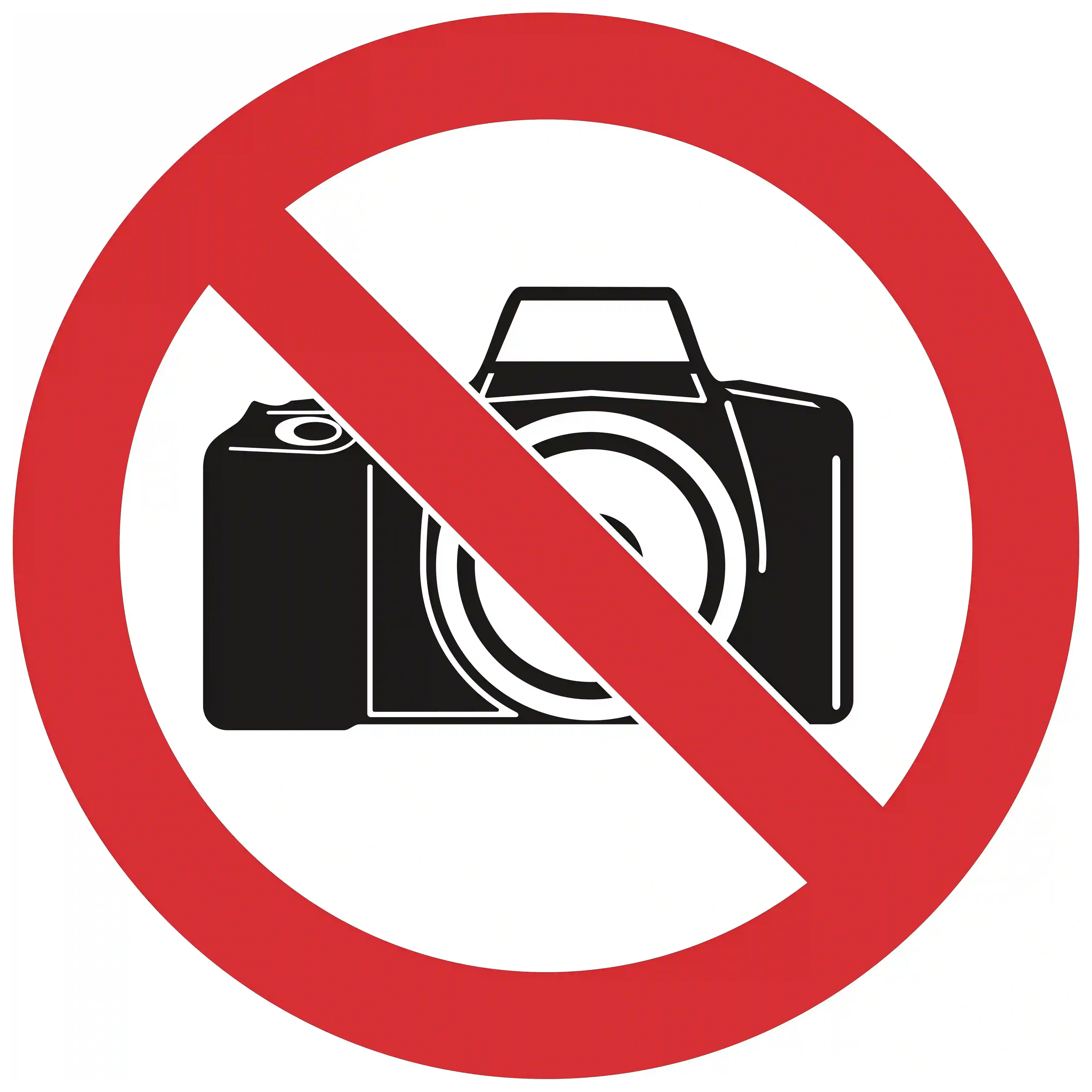 indicator-rutier-fotografiatul-interzis