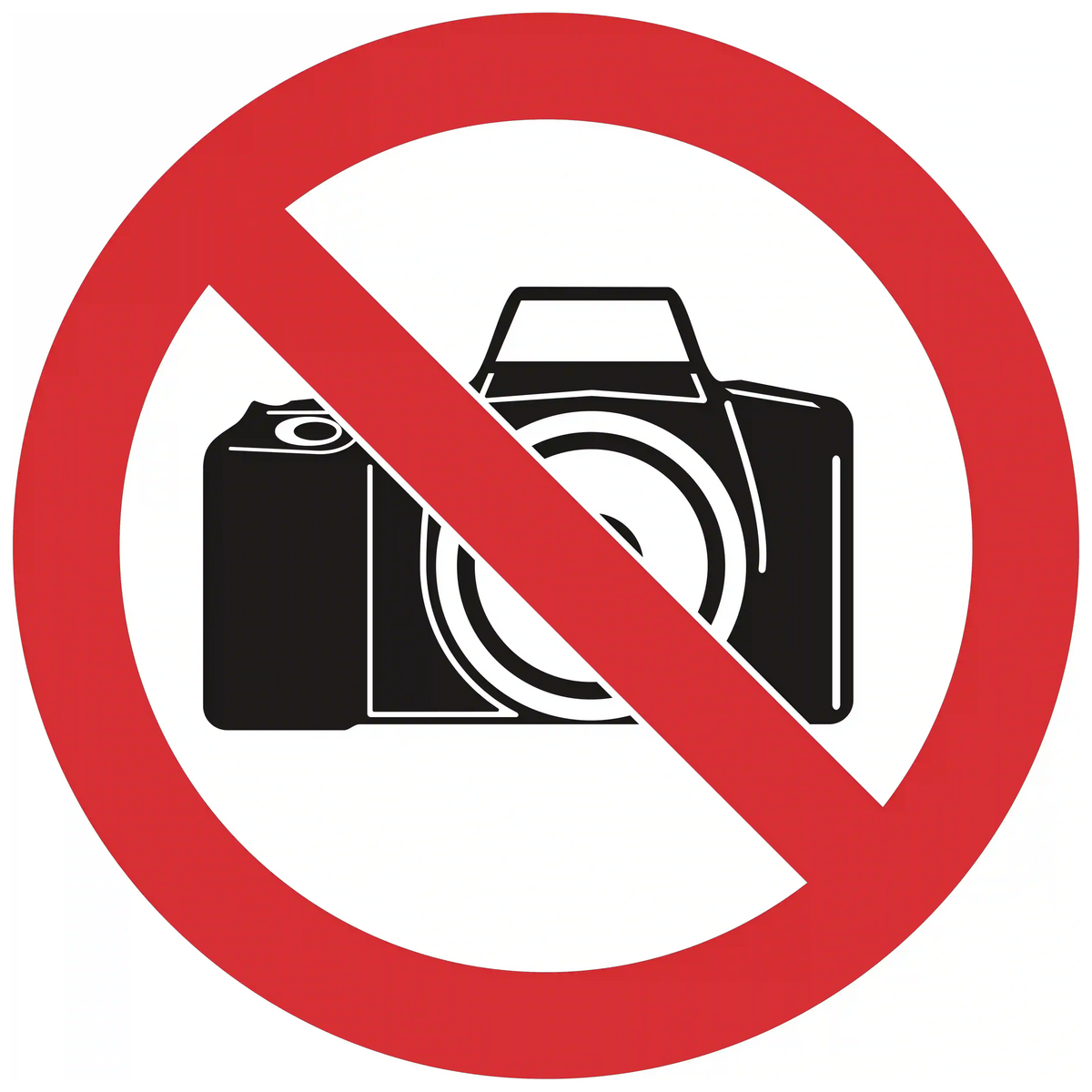 indicator-rutier-fotografiatul-interzis Imagine principală a produsului